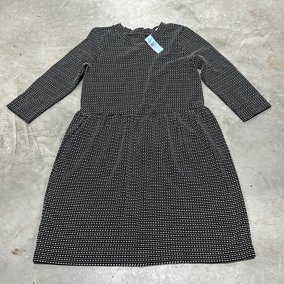 Loft‎ brand black n white dress /Size SP / E-55 - Picture 1 of 6
